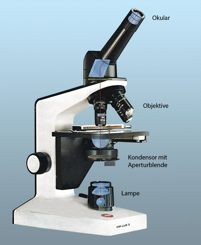 Leitz HM Lux 3 Mikroskop